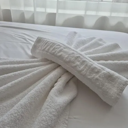 Scoica Hotel