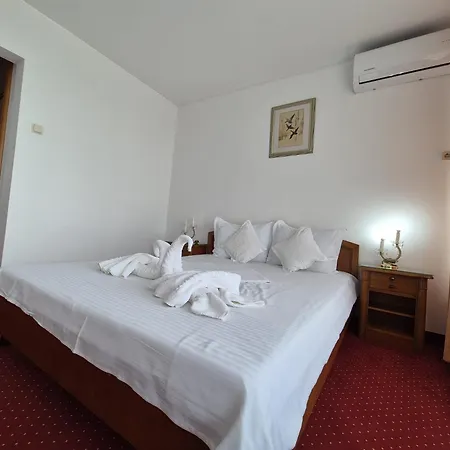 Hotel Scoica 3*