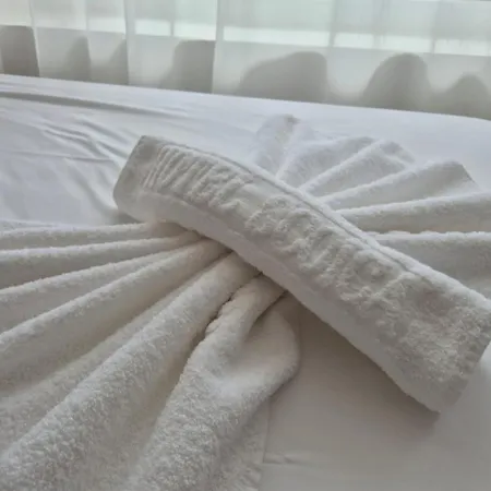 Hotel Scoica